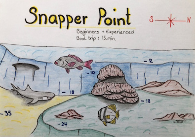 Snapper Point